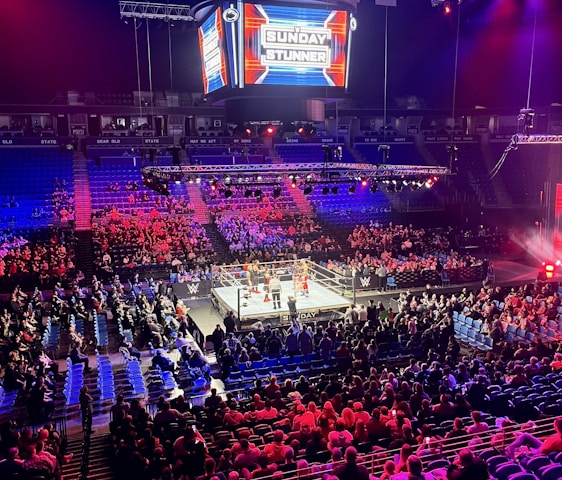 An indoor arena is filled with people watching a wrestling match. The ring is centrally located, and surrounded by audience members sitting in tiered seating. The arena is illuminated with red and blue lights, and a large overhead screen displays 'Sunday Stunner.' Spectators are engrossed in the match taking place in the well-lit ring.